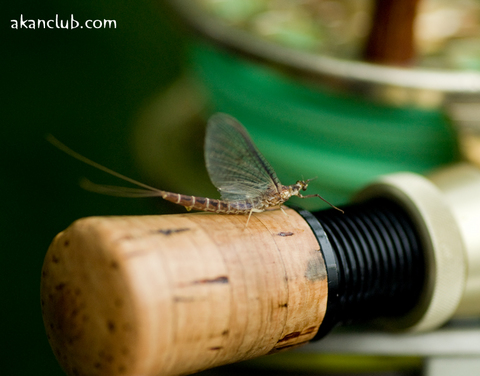 100703f.jpg