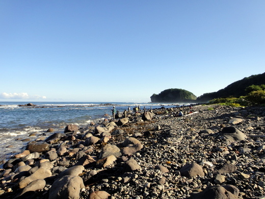 20100909d.JPG
