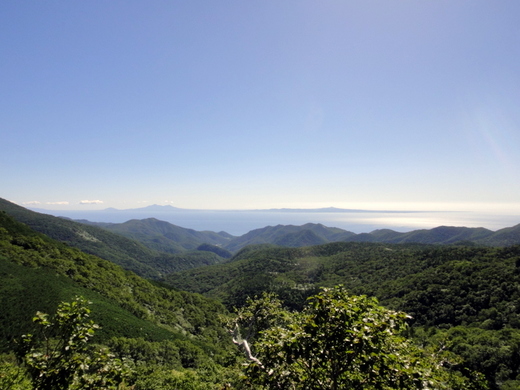 20100909e.JPG